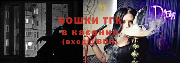 индика Арсеньев