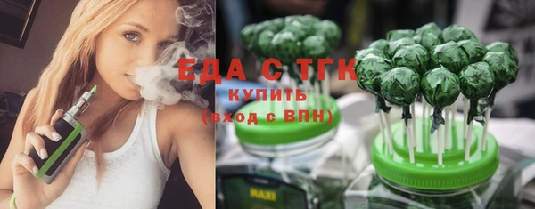 индика Арсеньев