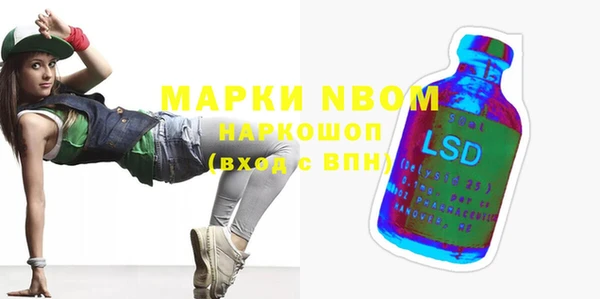 индика Арсеньев