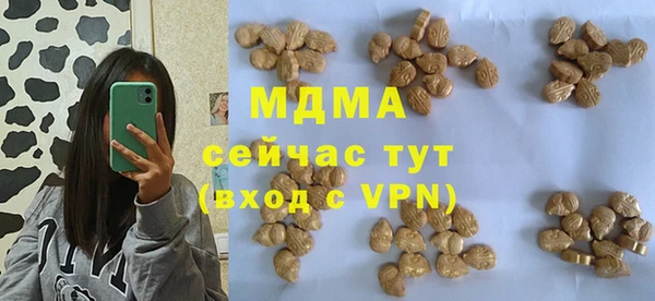 индика Арсеньев