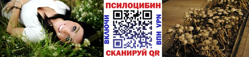 купить наркотик  Покров  Псилоцибиновые грибы GOLDEN TEACHER 